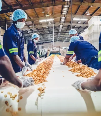 Group of food factory workers at a conveyor belt