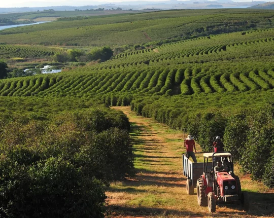 Farm workers riding in a tractor in a vast field